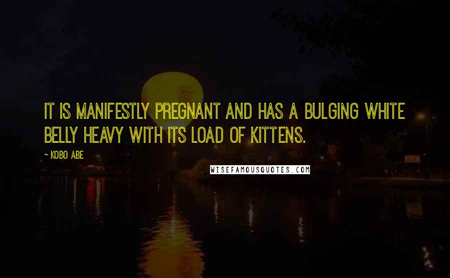 Kobo Abe Quotes: It is manifestly pregnant and has a bulging white belly heavy with its load of kittens.