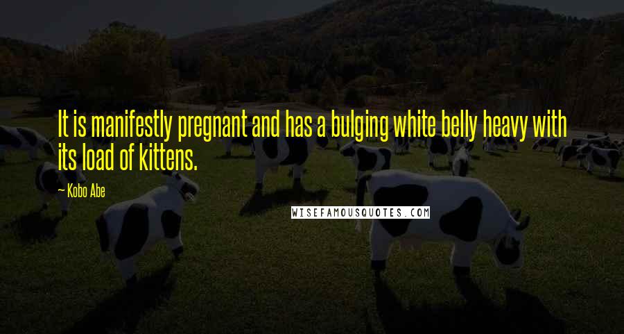 Kobo Abe Quotes: It is manifestly pregnant and has a bulging white belly heavy with its load of kittens.
