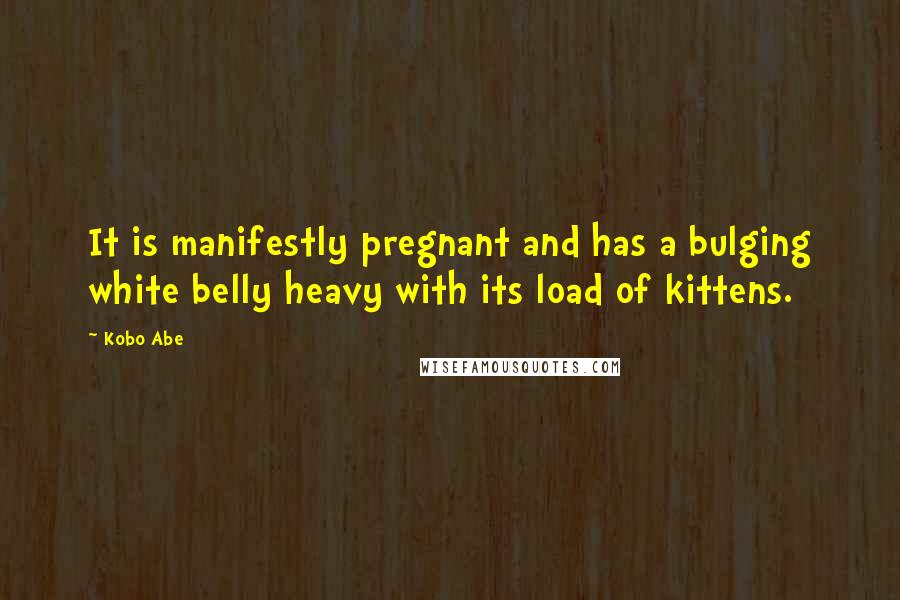 Kobo Abe Quotes: It is manifestly pregnant and has a bulging white belly heavy with its load of kittens.