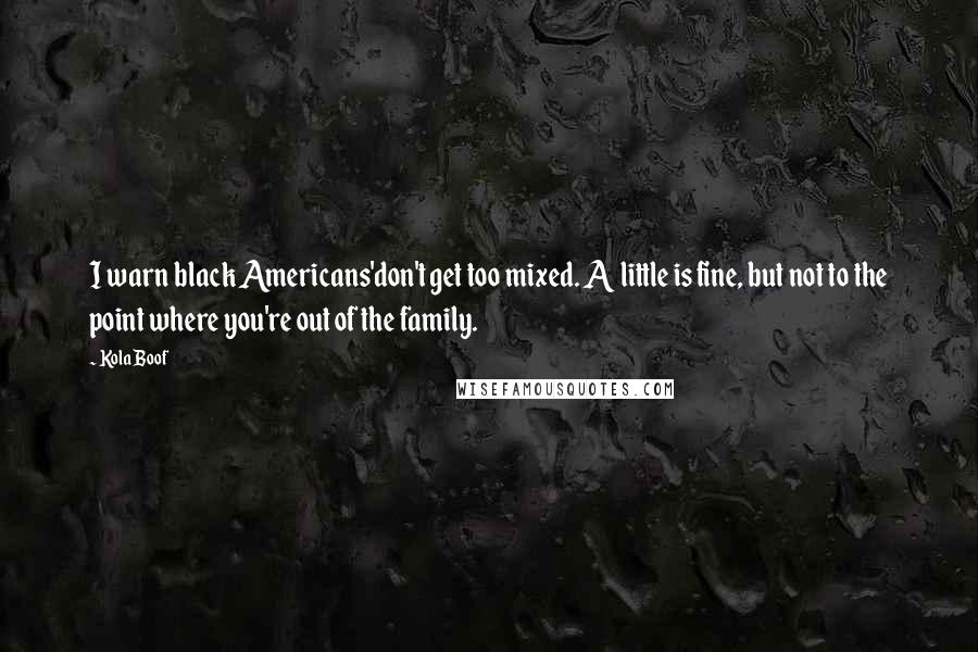 Kola Boof Quotes: I warn black Americans'don't get too mixed. A little is fine, but not to the point where you're out of the family.