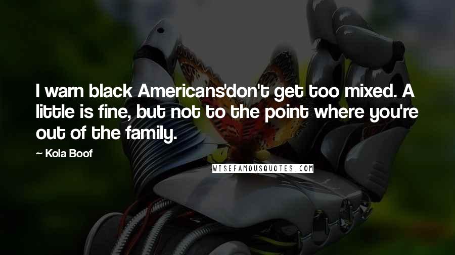 Kola Boof Quotes: I warn black Americans'don't get too mixed. A little is fine, but not to the point where you're out of the family.