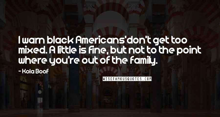 Kola Boof Quotes: I warn black Americans'don't get too mixed. A little is fine, but not to the point where you're out of the family.