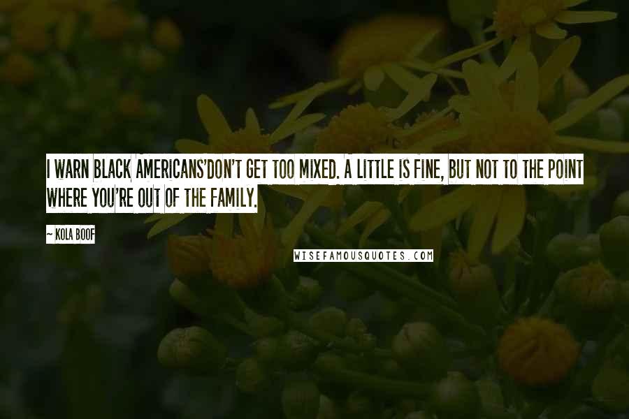 Kola Boof Quotes: I warn black Americans'don't get too mixed. A little is fine, but not to the point where you're out of the family.