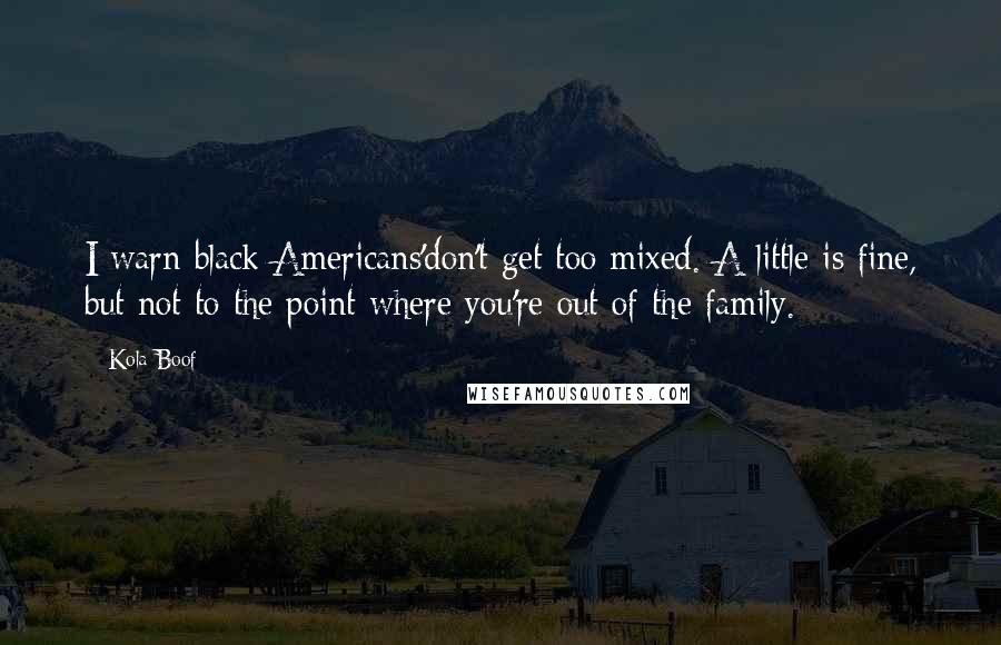 Kola Boof Quotes: I warn black Americans'don't get too mixed. A little is fine, but not to the point where you're out of the family.