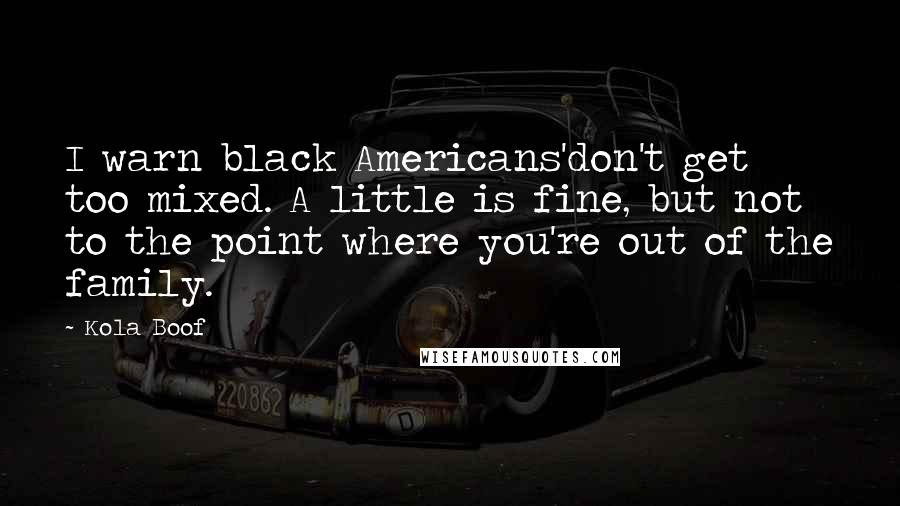 Kola Boof Quotes: I warn black Americans'don't get too mixed. A little is fine, but not to the point where you're out of the family.