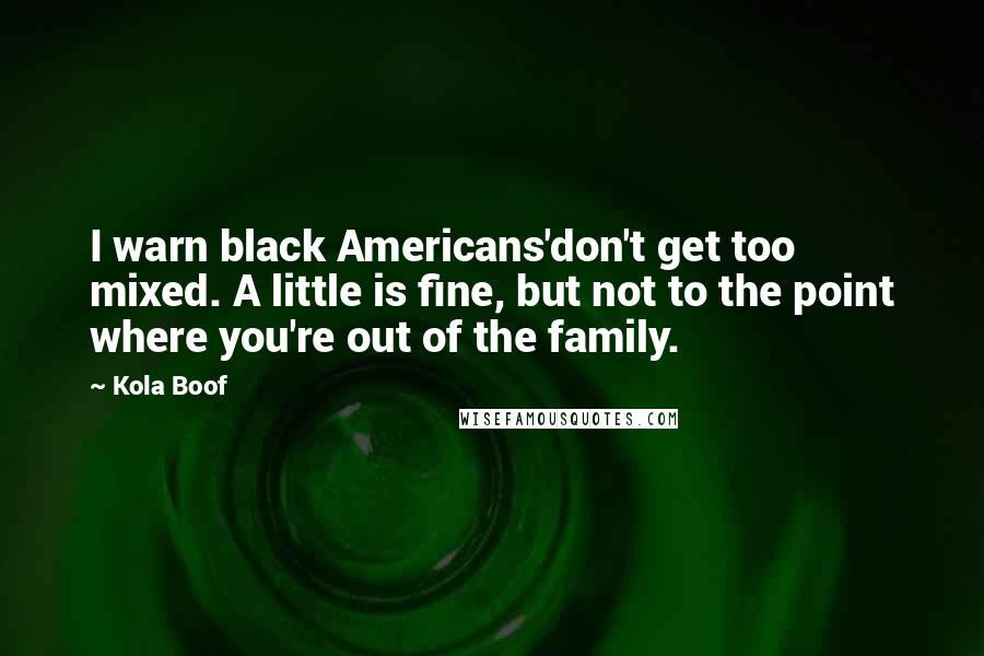 Kola Boof Quotes: I warn black Americans'don't get too mixed. A little is fine, but not to the point where you're out of the family.