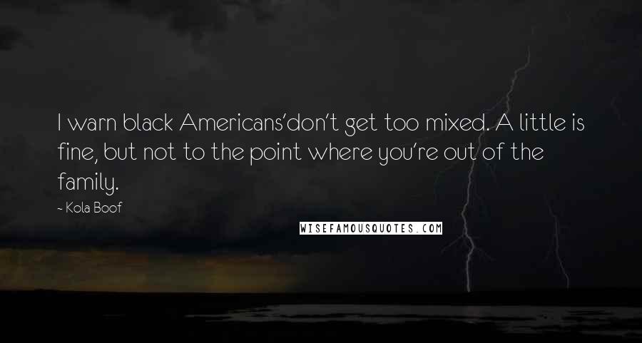 Kola Boof Quotes: I warn black Americans'don't get too mixed. A little is fine, but not to the point where you're out of the family.