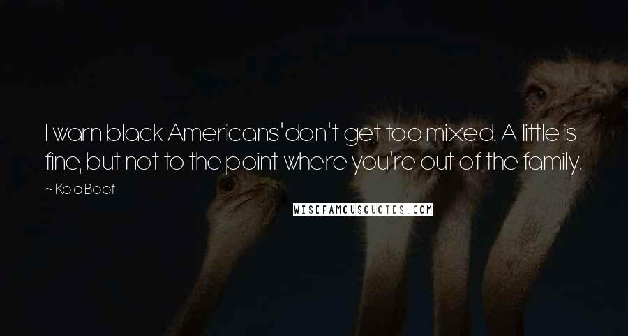 Kola Boof Quotes: I warn black Americans'don't get too mixed. A little is fine, but not to the point where you're out of the family.