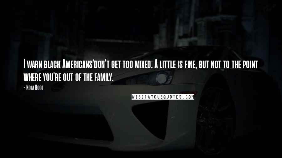 Kola Boof Quotes: I warn black Americans'don't get too mixed. A little is fine, but not to the point where you're out of the family.
