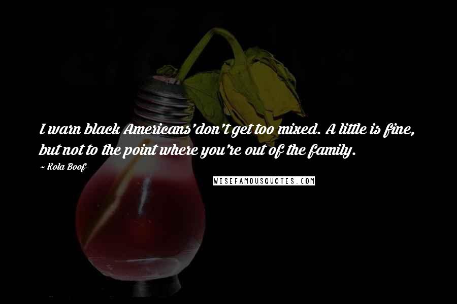 Kola Boof Quotes: I warn black Americans'don't get too mixed. A little is fine, but not to the point where you're out of the family.