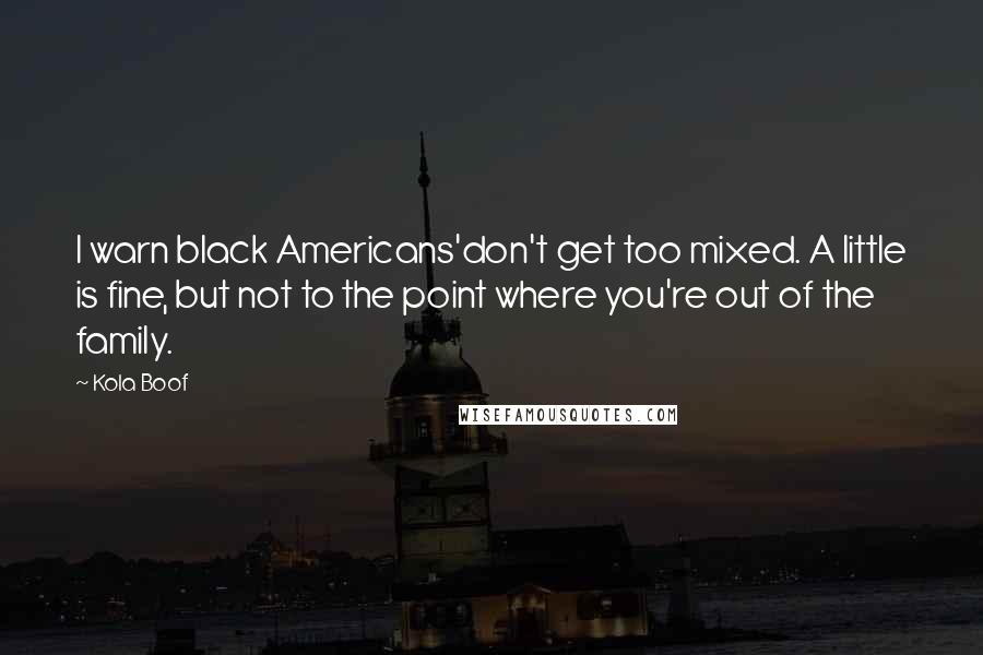 Kola Boof Quotes: I warn black Americans'don't get too mixed. A little is fine, but not to the point where you're out of the family.