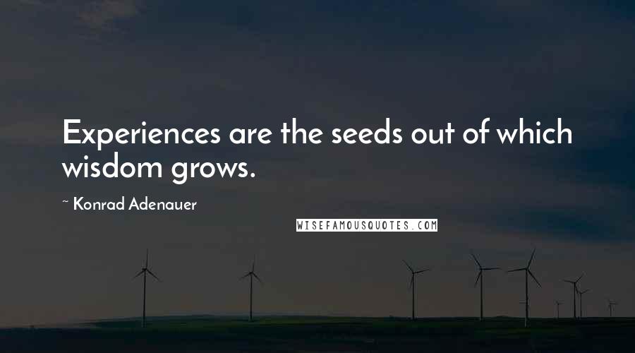 Konrad Adenauer Quotes: Experiences are the seeds out of which wisdom grows.