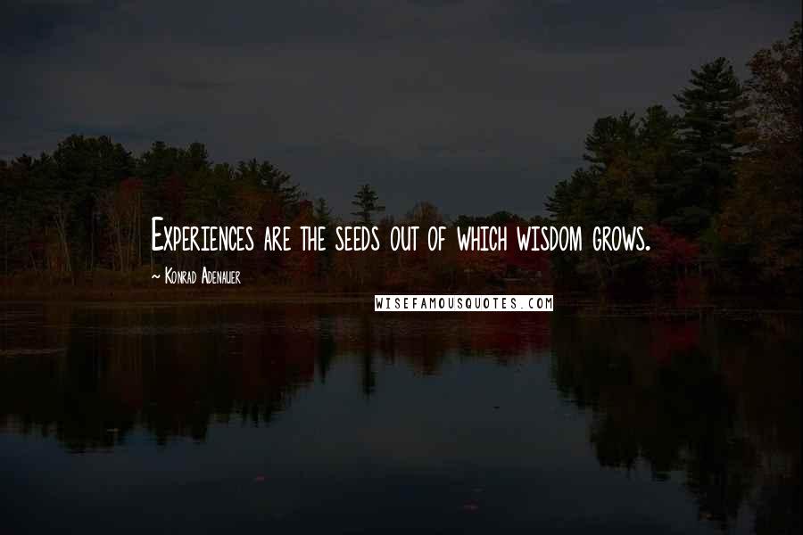 Konrad Adenauer Quotes: Experiences are the seeds out of which wisdom grows.