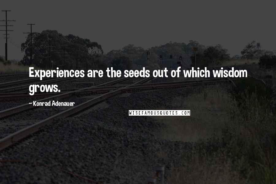 Konrad Adenauer Quotes: Experiences are the seeds out of which wisdom grows.