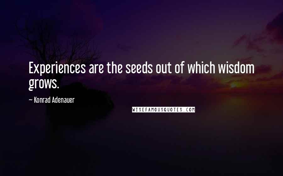 Konrad Adenauer Quotes: Experiences are the seeds out of which wisdom grows.