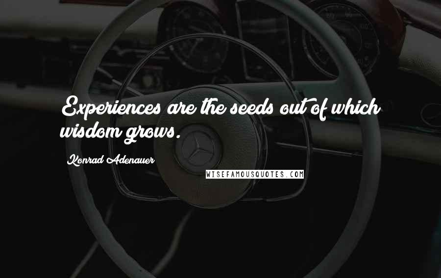 Konrad Adenauer Quotes: Experiences are the seeds out of which wisdom grows.