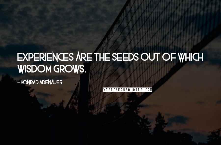 Konrad Adenauer Quotes: Experiences are the seeds out of which wisdom grows.