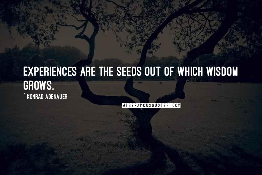 Konrad Adenauer Quotes: Experiences are the seeds out of which wisdom grows.