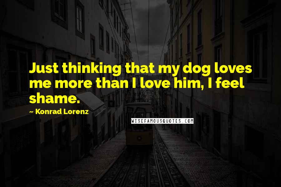 Konrad Lorenz Quotes: Just thinking that my dog loves me more than I love him, I feel shame.