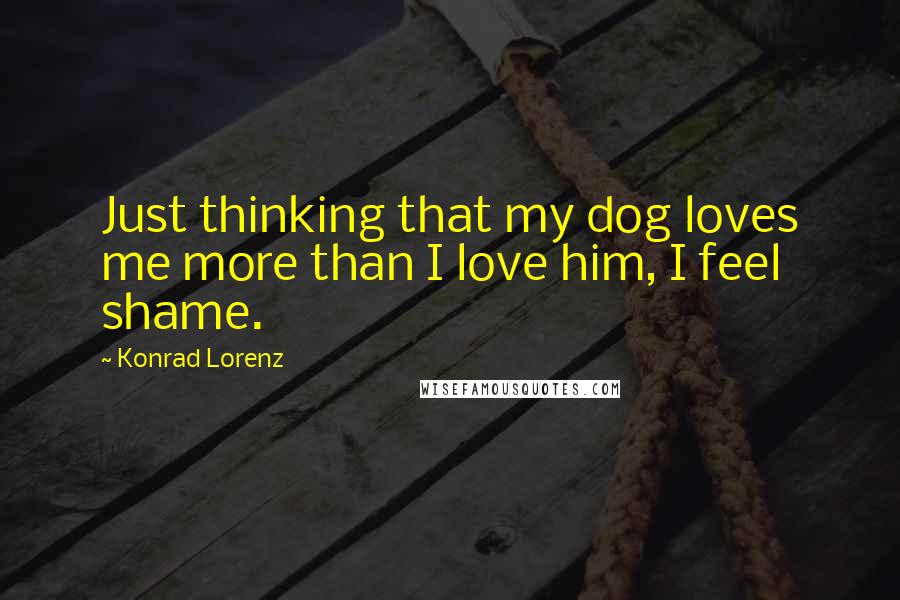 Konrad Lorenz Quotes: Just thinking that my dog loves me more than I love him, I feel shame.