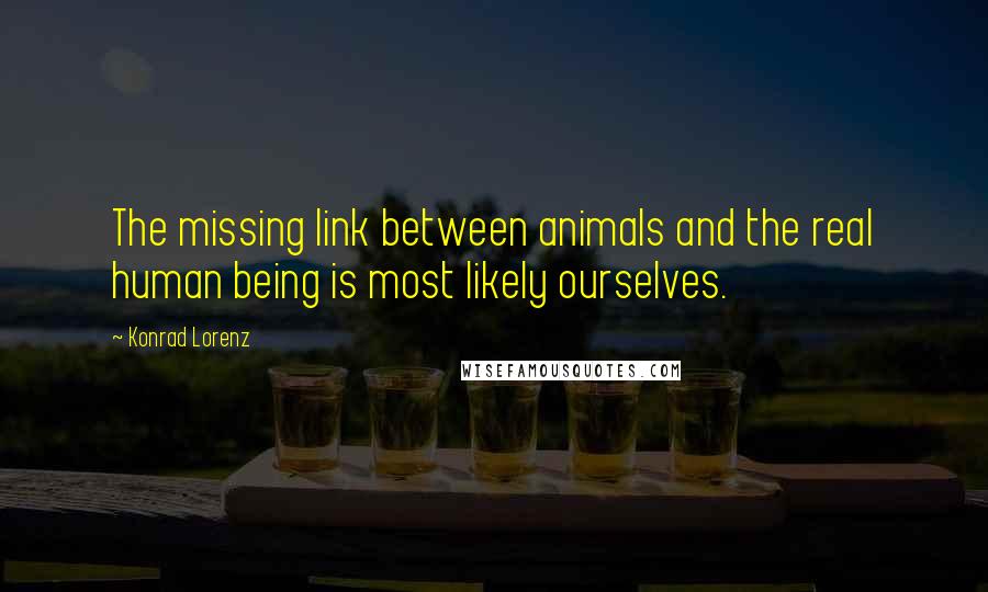 Konrad Lorenz Quotes: The missing link between animals and the real human being is most likely ourselves.
