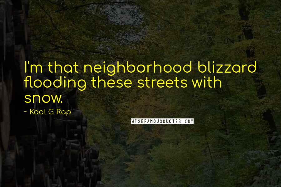 Kool G Rap Quotes: I'm that neighborhood blizzard flooding these streets with snow.