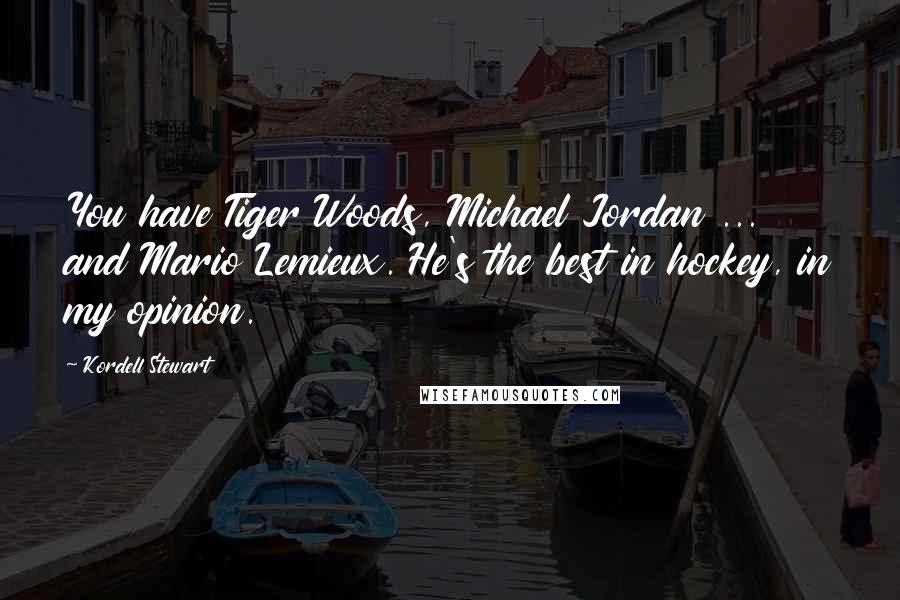 Kordell Stewart Quotes: You have Tiger Woods, Michael Jordan ... and Mario Lemieux. He's the best in hockey, in my opinion.