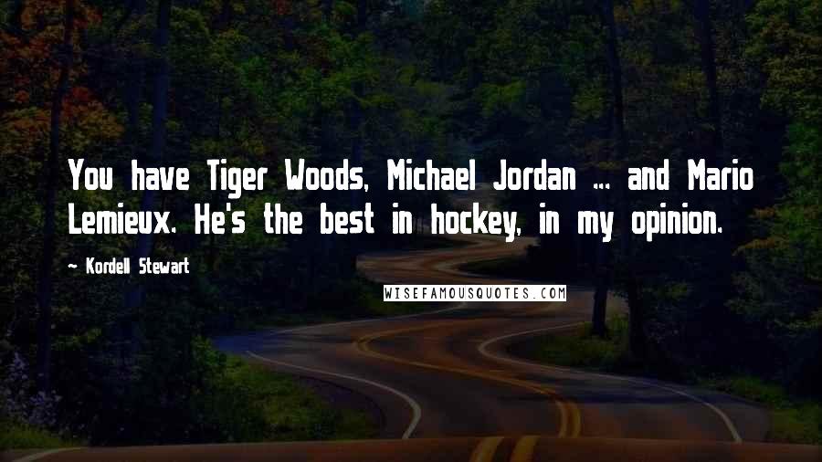 Kordell Stewart Quotes: You have Tiger Woods, Michael Jordan ... and Mario Lemieux. He's the best in hockey, in my opinion.