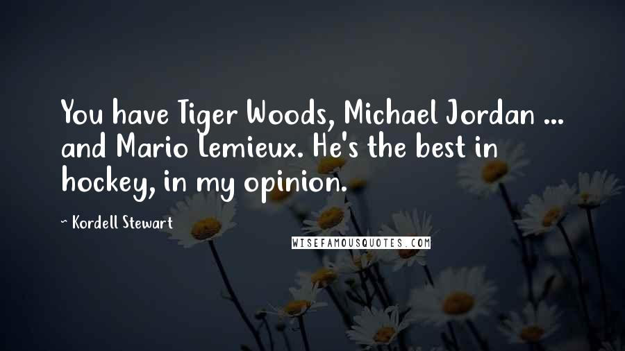 Kordell Stewart Quotes: You have Tiger Woods, Michael Jordan ... and Mario Lemieux. He's the best in hockey, in my opinion.