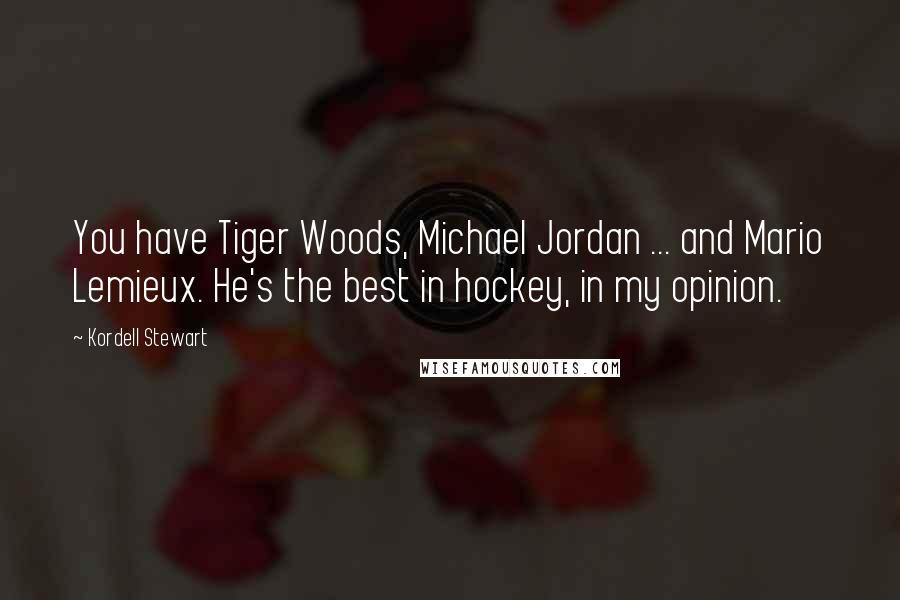 Kordell Stewart Quotes: You have Tiger Woods, Michael Jordan ... and Mario Lemieux. He's the best in hockey, in my opinion.