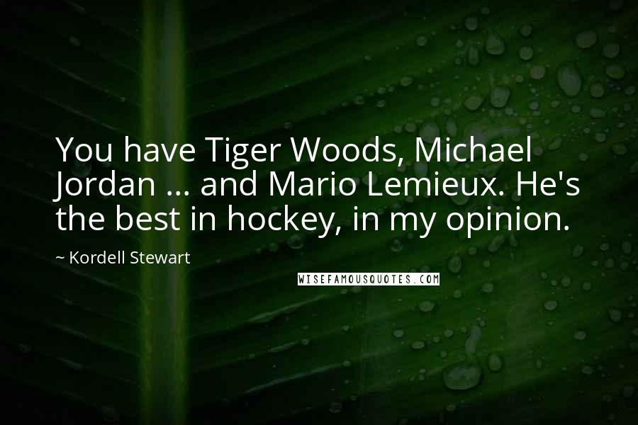 Kordell Stewart Quotes: You have Tiger Woods, Michael Jordan ... and Mario Lemieux. He's the best in hockey, in my opinion.