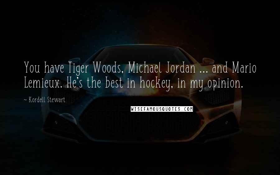 Kordell Stewart Quotes: You have Tiger Woods, Michael Jordan ... and Mario Lemieux. He's the best in hockey, in my opinion.