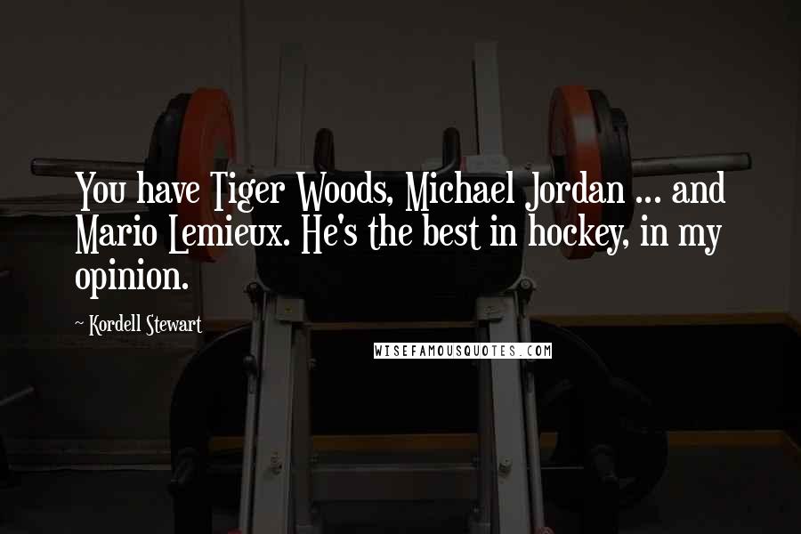 Kordell Stewart Quotes: You have Tiger Woods, Michael Jordan ... and Mario Lemieux. He's the best in hockey, in my opinion.