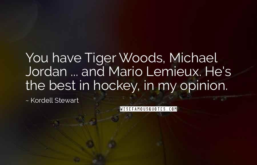 Kordell Stewart Quotes: You have Tiger Woods, Michael Jordan ... and Mario Lemieux. He's the best in hockey, in my opinion.