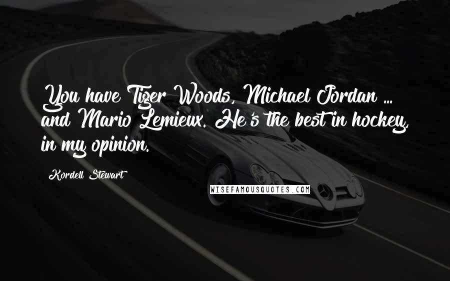 Kordell Stewart Quotes: You have Tiger Woods, Michael Jordan ... and Mario Lemieux. He's the best in hockey, in my opinion.