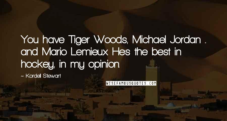 Kordell Stewart Quotes: You have Tiger Woods, Michael Jordan ... and Mario Lemieux. He's the best in hockey, in my opinion.