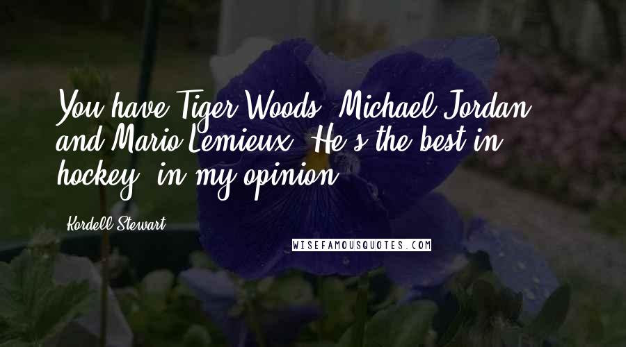 Kordell Stewart Quotes: You have Tiger Woods, Michael Jordan ... and Mario Lemieux. He's the best in hockey, in my opinion.