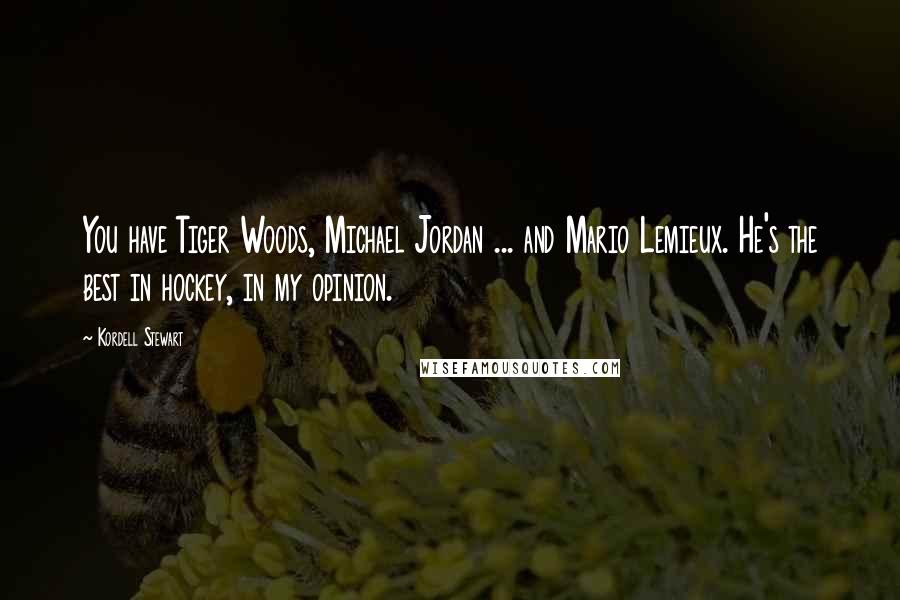 Kordell Stewart Quotes: You have Tiger Woods, Michael Jordan ... and Mario Lemieux. He's the best in hockey, in my opinion.