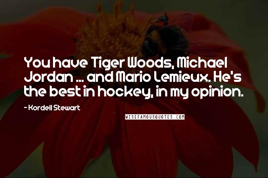 Kordell Stewart Quotes: You have Tiger Woods, Michael Jordan ... and Mario Lemieux. He's the best in hockey, in my opinion.