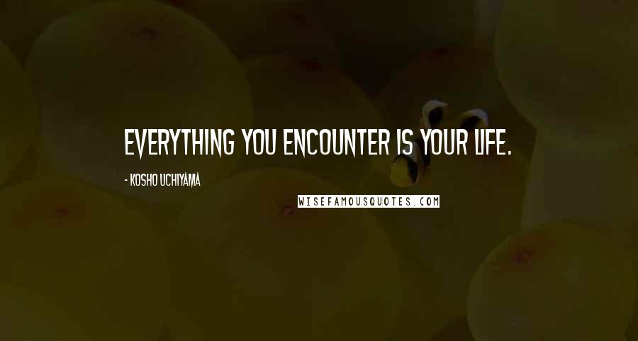 Kosho Uchiyama Quotes: Everything you encounter is your life.