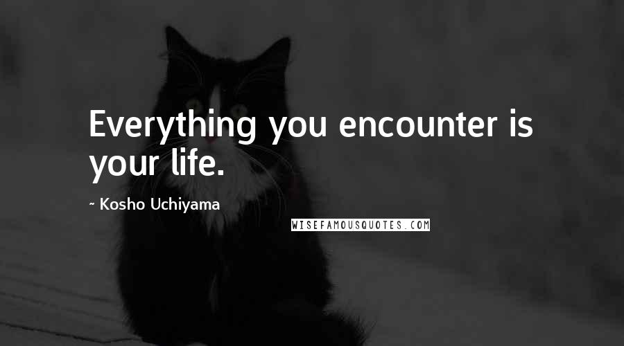 Kosho Uchiyama Quotes: Everything you encounter is your life.