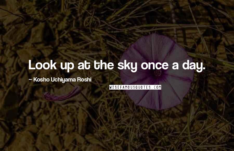 Kosho Uchiyama Roshi Quotes: Look up at the sky once a day.