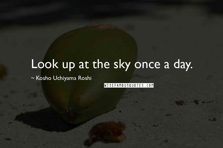 Kosho Uchiyama Roshi Quotes: Look up at the sky once a day.