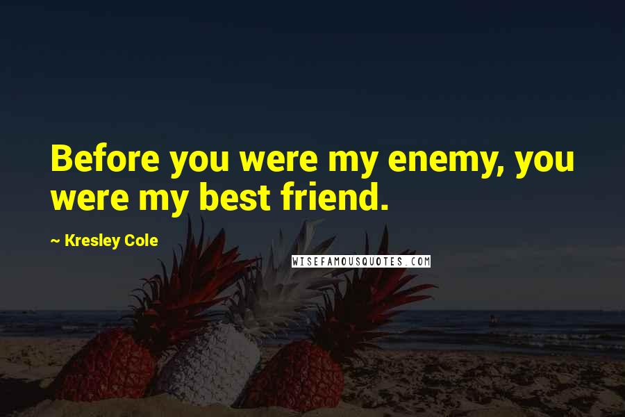 Kresley Cole Quotes: Before you were my enemy, you were my best friend.