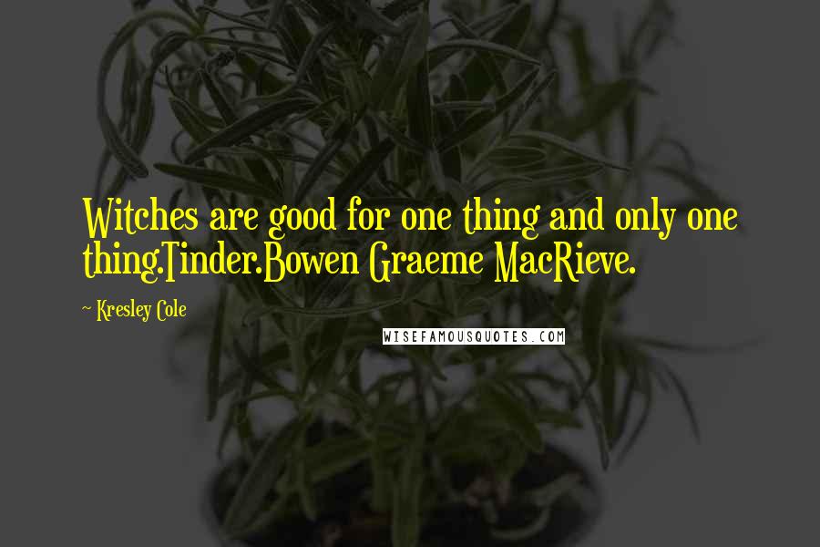 Kresley Cole Quotes: Witches are good for one thing and only one thing.Tinder.Bowen Graeme MacRieve.