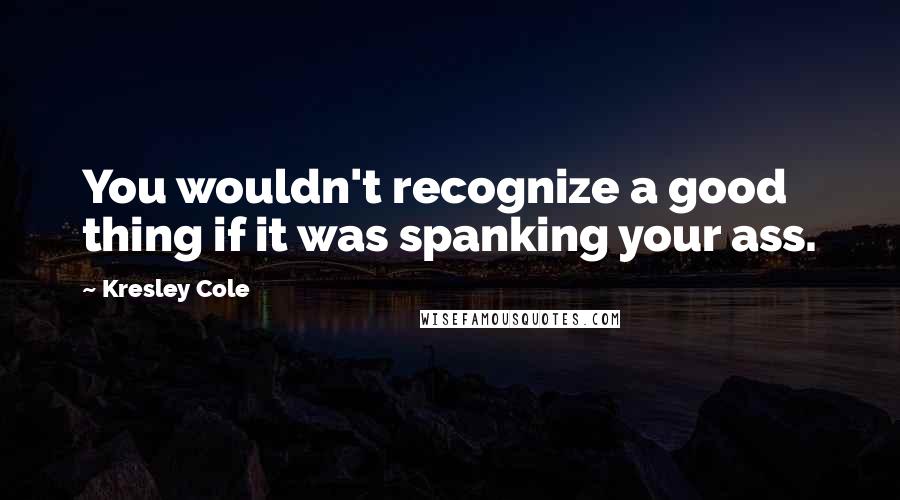 Kresley Cole Quotes: You wouldn't recognize a good thing if it was spanking your ass.