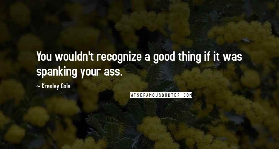 Kresley Cole Quotes: You wouldn't recognize a good thing if it was spanking your ass.