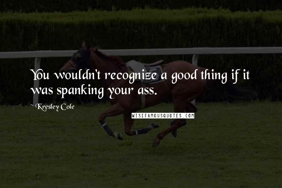 Kresley Cole Quotes: You wouldn't recognize a good thing if it was spanking your ass.