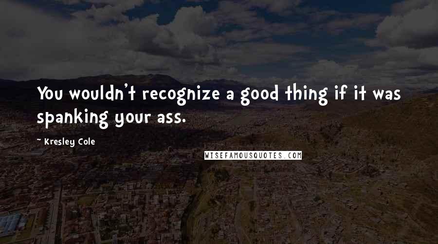 Kresley Cole Quotes: You wouldn't recognize a good thing if it was spanking your ass.