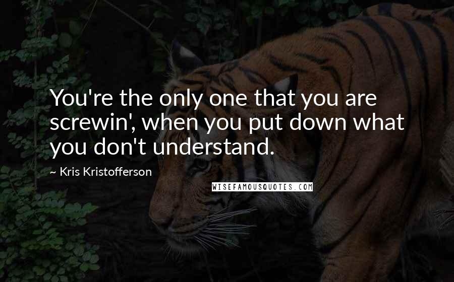 Kris Kristofferson Quotes: You're the only one that you are screwin', when you put down what you don't understand.